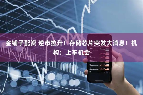 金铺子配资 逆市拉升！存储芯片突发大消息！机构：上车机会